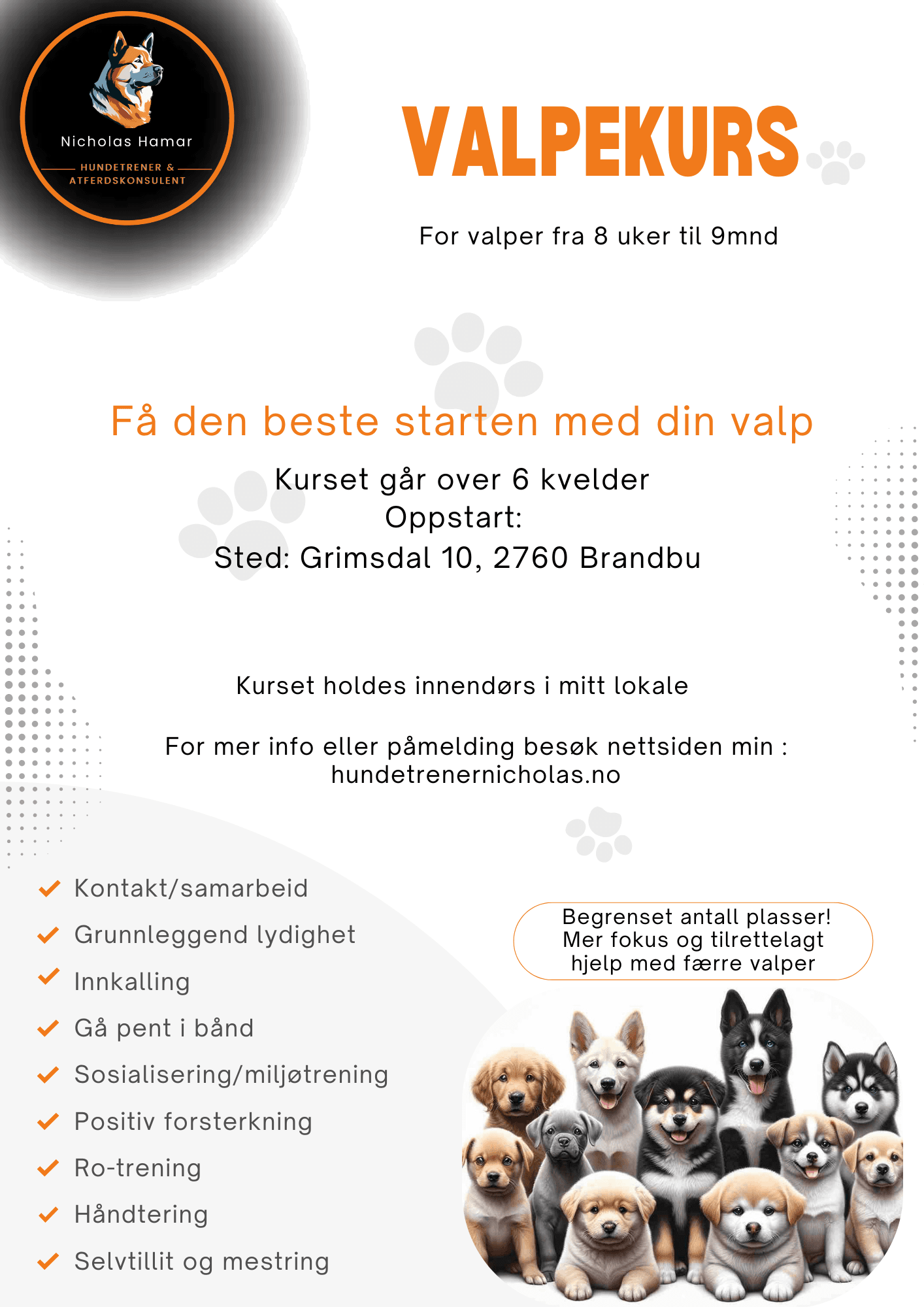 Valpekurs