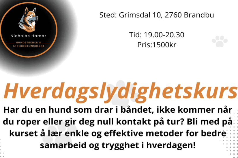 Hverdagslydighetskurs