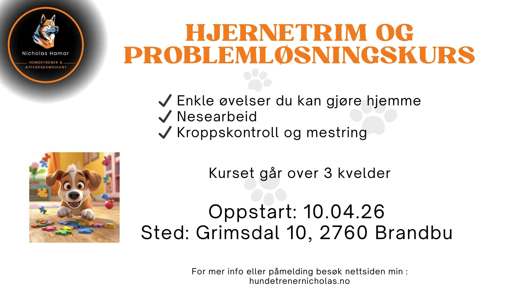 Hjernetrim og problemløsningskurs