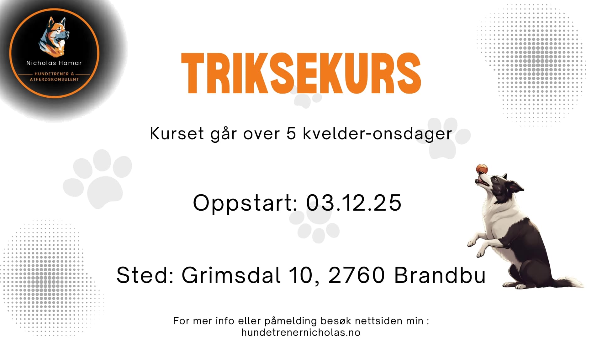 Triksekurs