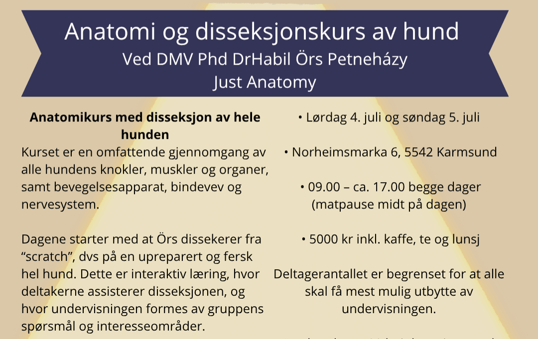 Anatomi og disseksjonskurs hund