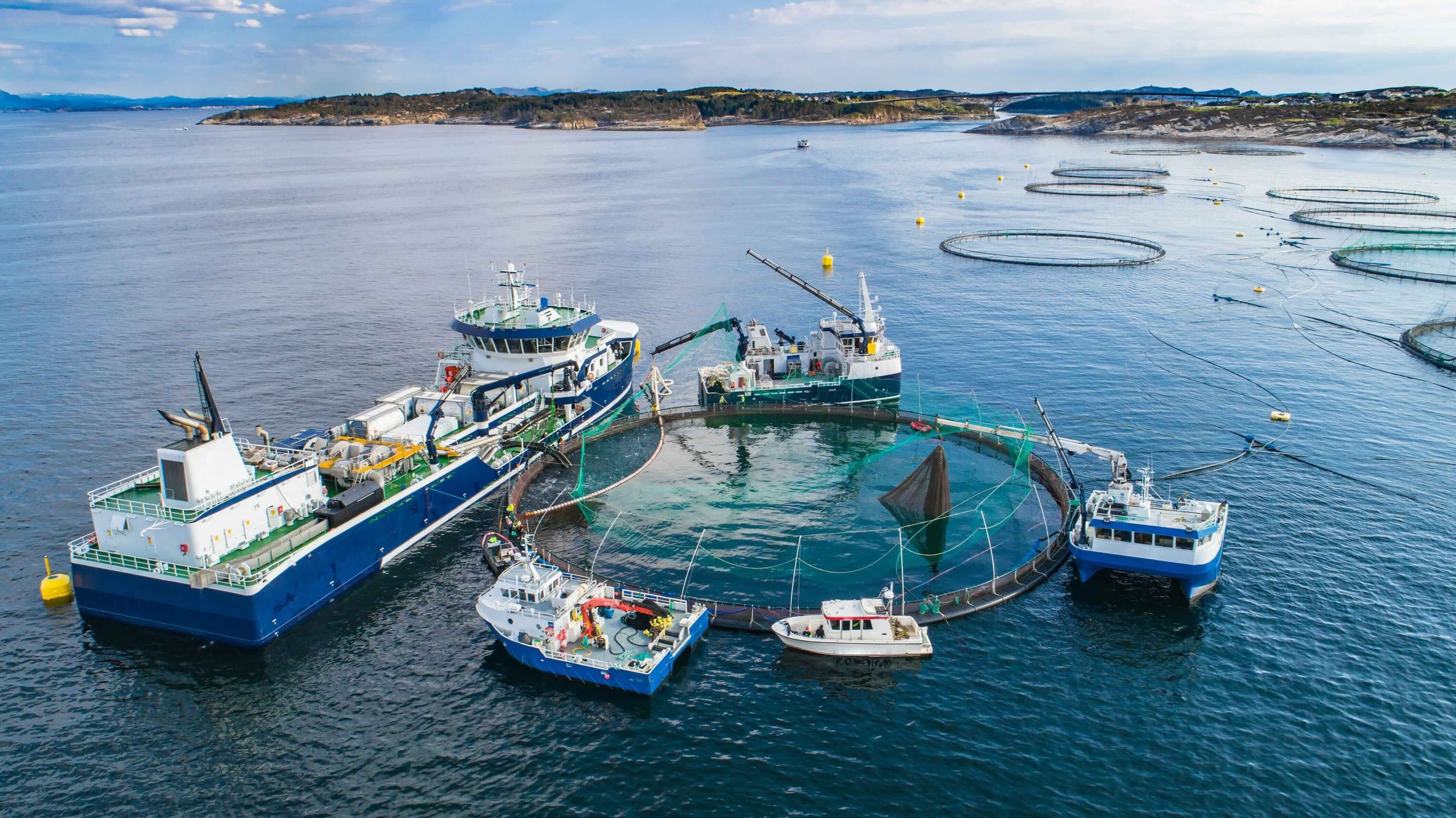 Fartøyoperasjoner og fiskevelferd i havbruk
