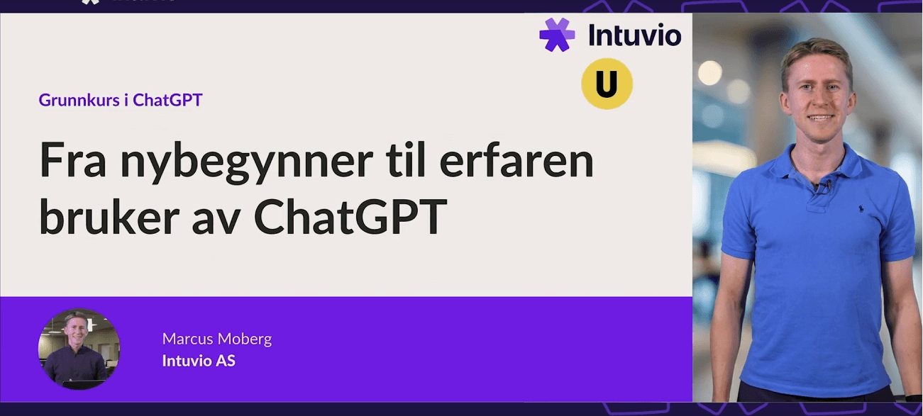 ChatGPT for nybegynnere