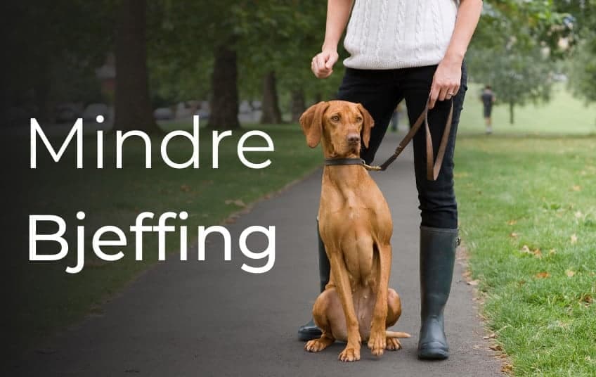 Sladretrening