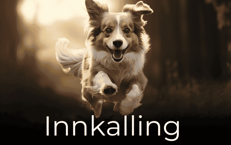 Få en sikker innkalling