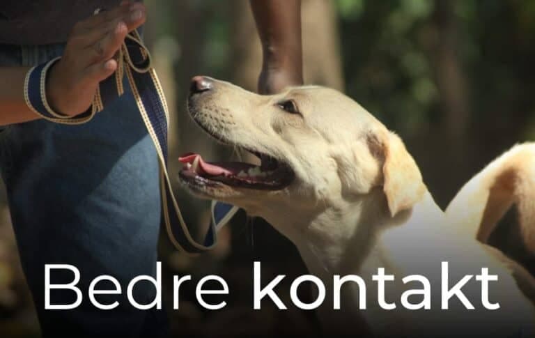 30 dager til bedre kontakt på tur
