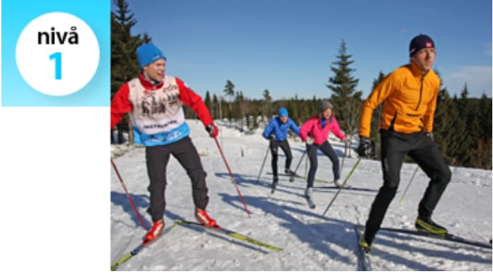 Skøyting NY