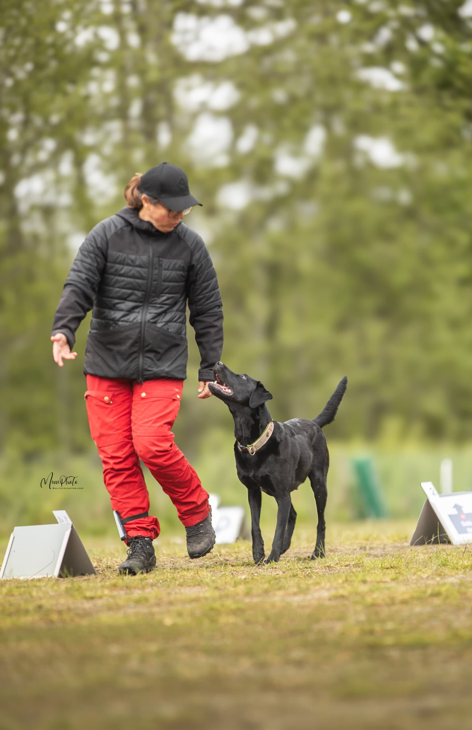 Rallylydighet – Klasse 3 & Elite