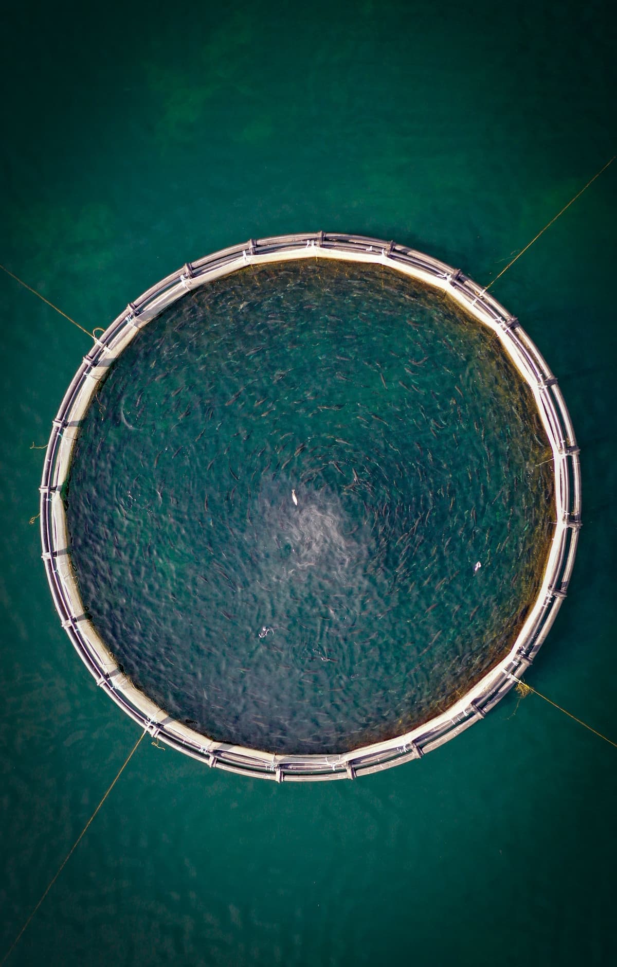 Maritim sikkerhet på merdkanten